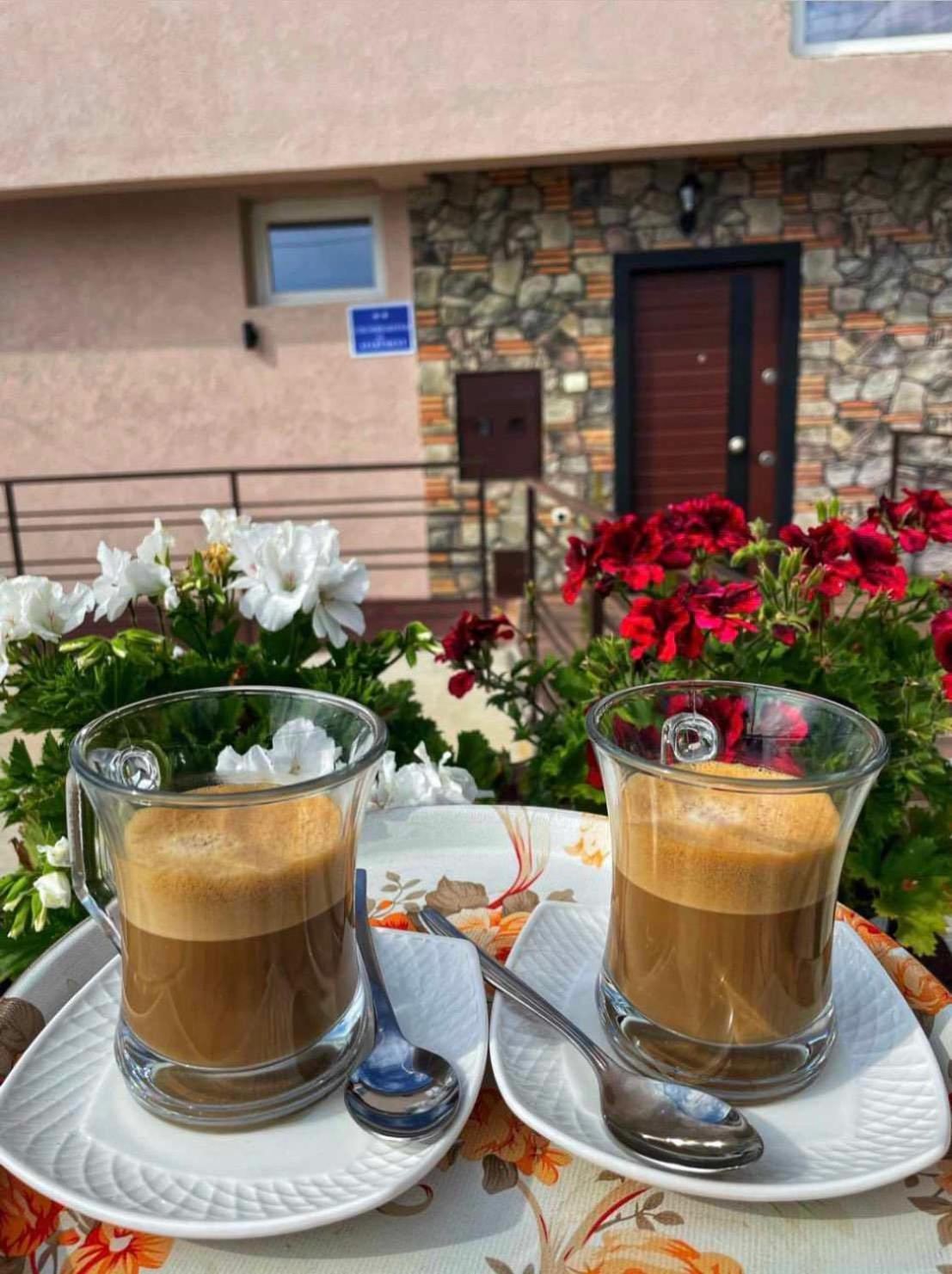 Gopo Guesthouse Elshani Exterior foto