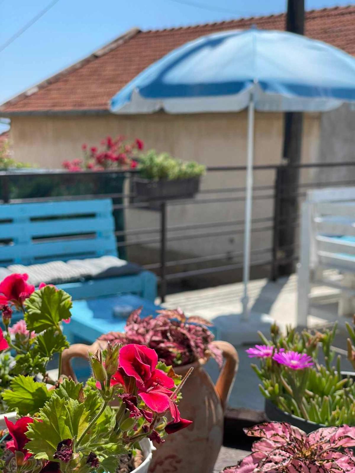 Gopo Guesthouse Elshani Exterior foto